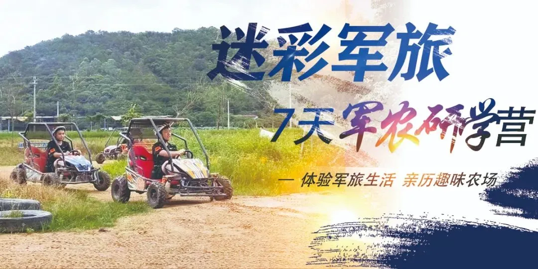 7日圣诞特训营